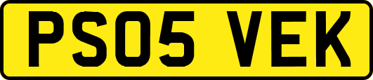 PS05VEK