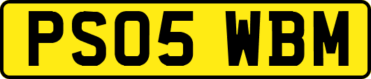 PS05WBM