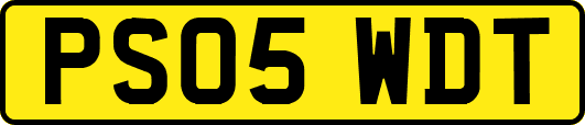 PS05WDT