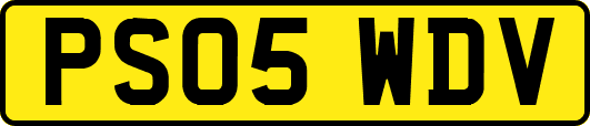 PS05WDV