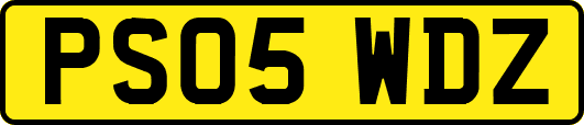 PS05WDZ