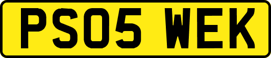 PS05WEK