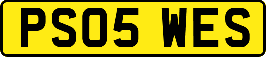 PS05WES