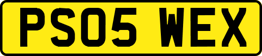 PS05WEX