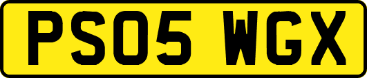 PS05WGX