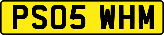 PS05WHM