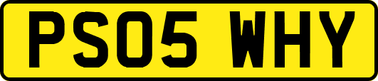 PS05WHY