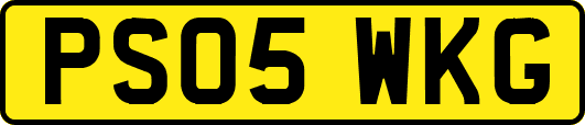 PS05WKG