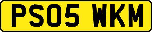 PS05WKM