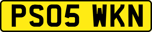PS05WKN