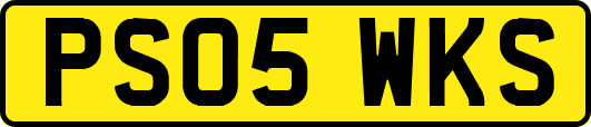 PS05WKS