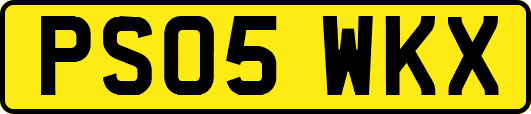 PS05WKX