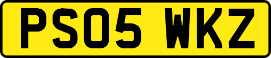 PS05WKZ