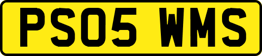 PS05WMS