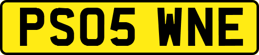PS05WNE