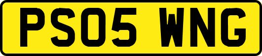 PS05WNG