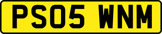 PS05WNM