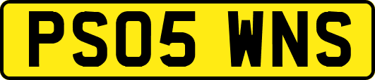 PS05WNS