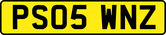 PS05WNZ