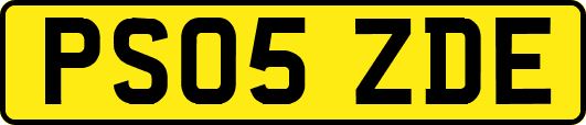 PS05ZDE