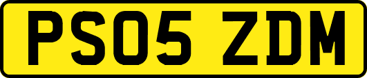 PS05ZDM