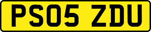 PS05ZDU