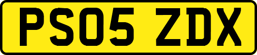 PS05ZDX