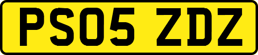 PS05ZDZ