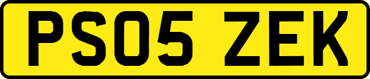 PS05ZEK