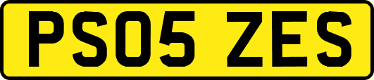 PS05ZES