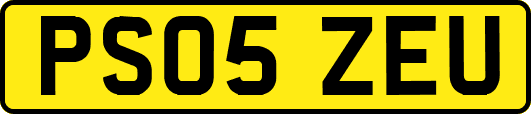 PS05ZEU