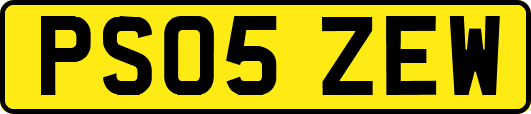 PS05ZEW