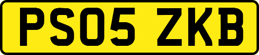 PS05ZKB