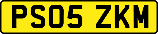 PS05ZKM