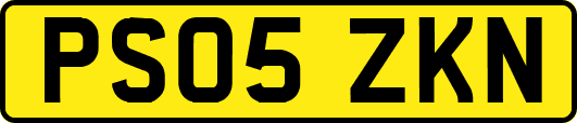 PS05ZKN