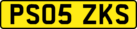 PS05ZKS