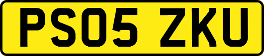 PS05ZKU