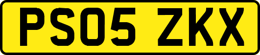 PS05ZKX