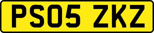 PS05ZKZ
