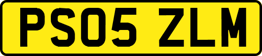PS05ZLM