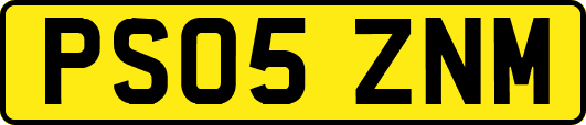 PS05ZNM