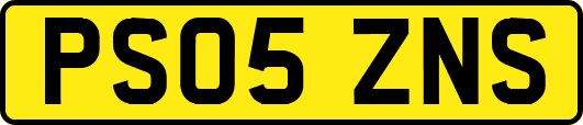 PS05ZNS