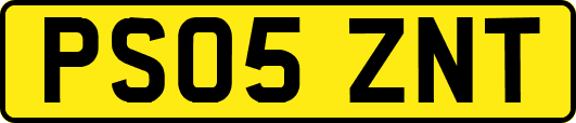 PS05ZNT