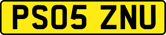 PS05ZNU