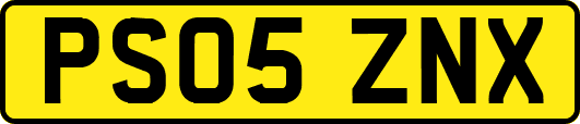 PS05ZNX