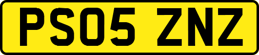 PS05ZNZ