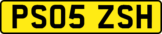 PS05ZSH