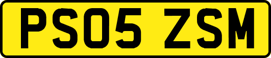 PS05ZSM