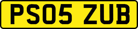 PS05ZUB