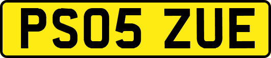 PS05ZUE
